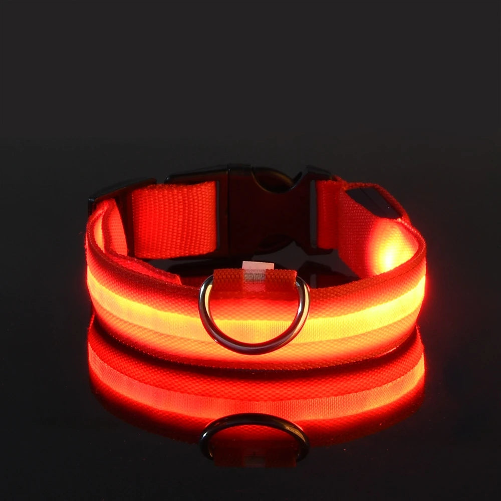 Nylon LED Night Safety Flashing Glow In The Dark Dog Leash Dogs Luminous Fluorescent Pet Dog Collar - ALPENZO