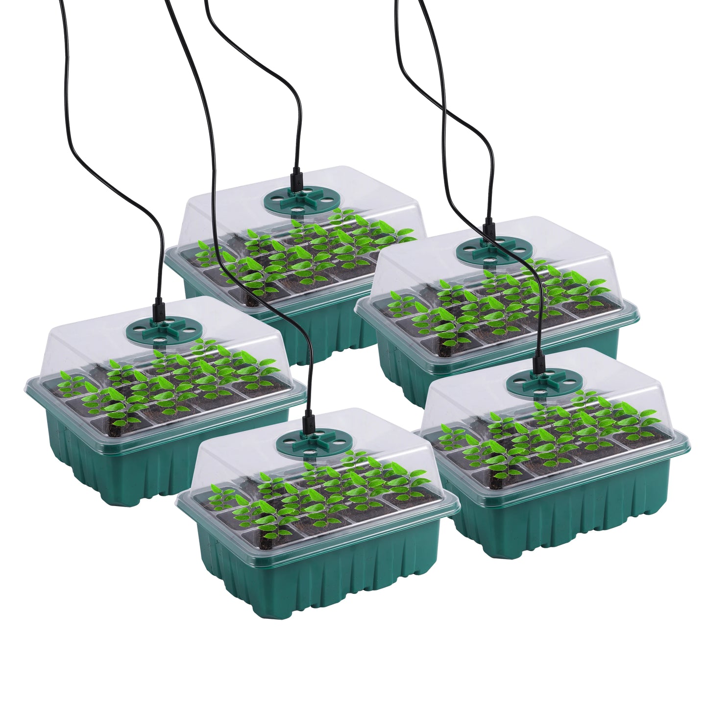 Seed Starter Tray Box With LED Grow Light Nursery Pot Seedling Germination Planter Adjustable Ventilation Humidity 6/12/13 Cell - ALPENZO