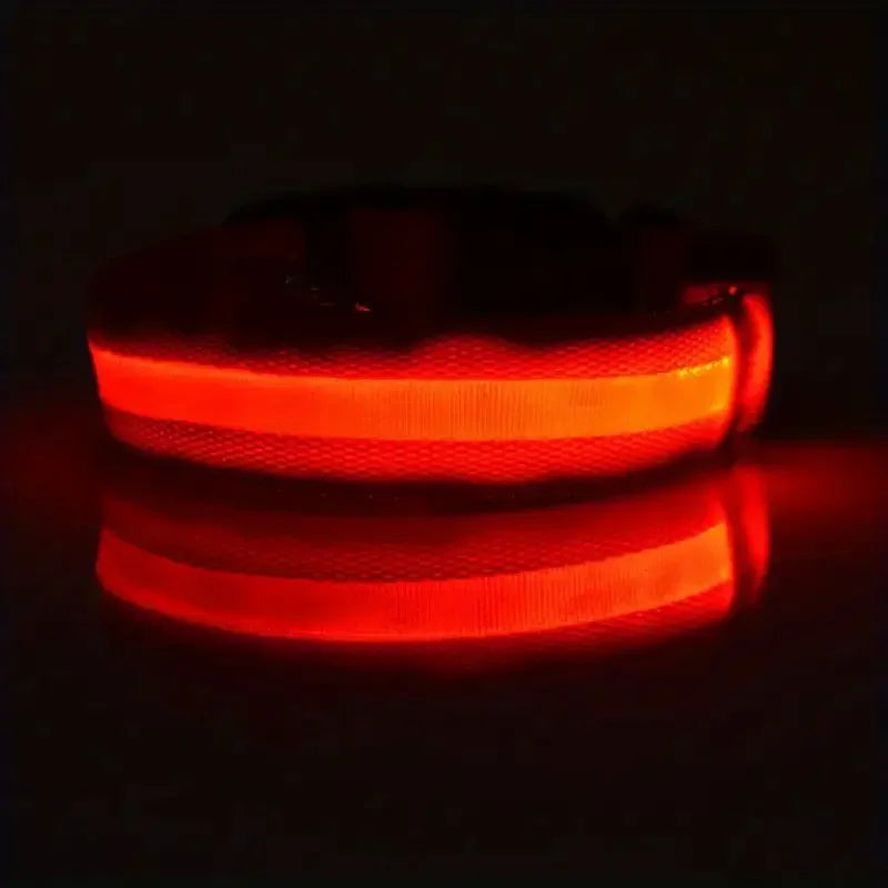 Nylon LED Night Safety Flashing Glow In The Dark Dog Leash Dogs Luminous Fluorescent Pet Dog Collar - ALPENZO