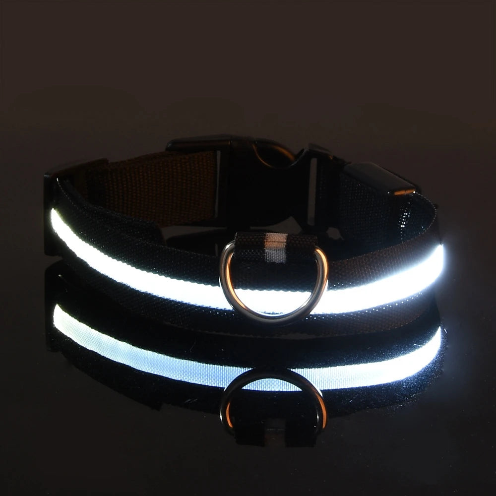 Nylon LED Night Safety Flashing Glow In The Dark Dog Leash Dogs Luminous Fluorescent Pet Dog Collar - ALPENZO
