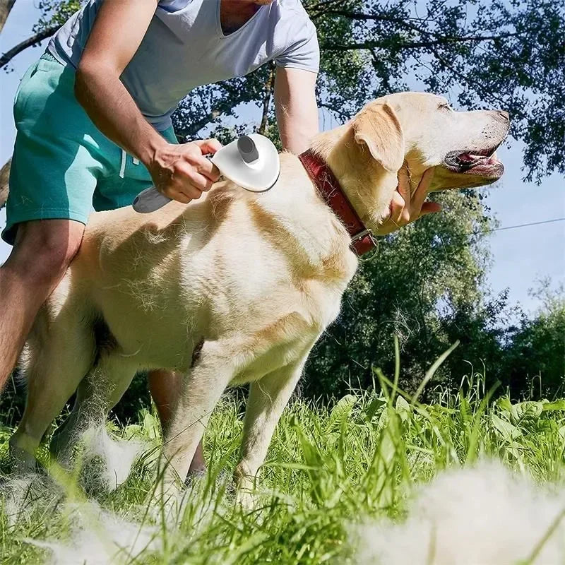 Pet Dog Brush Cat Comb Self Cleaning Pet Hair Remover Brush For Dogs Cats Grooming Tools Pets Dematting Comb Dogs Accessories - ALPENZO