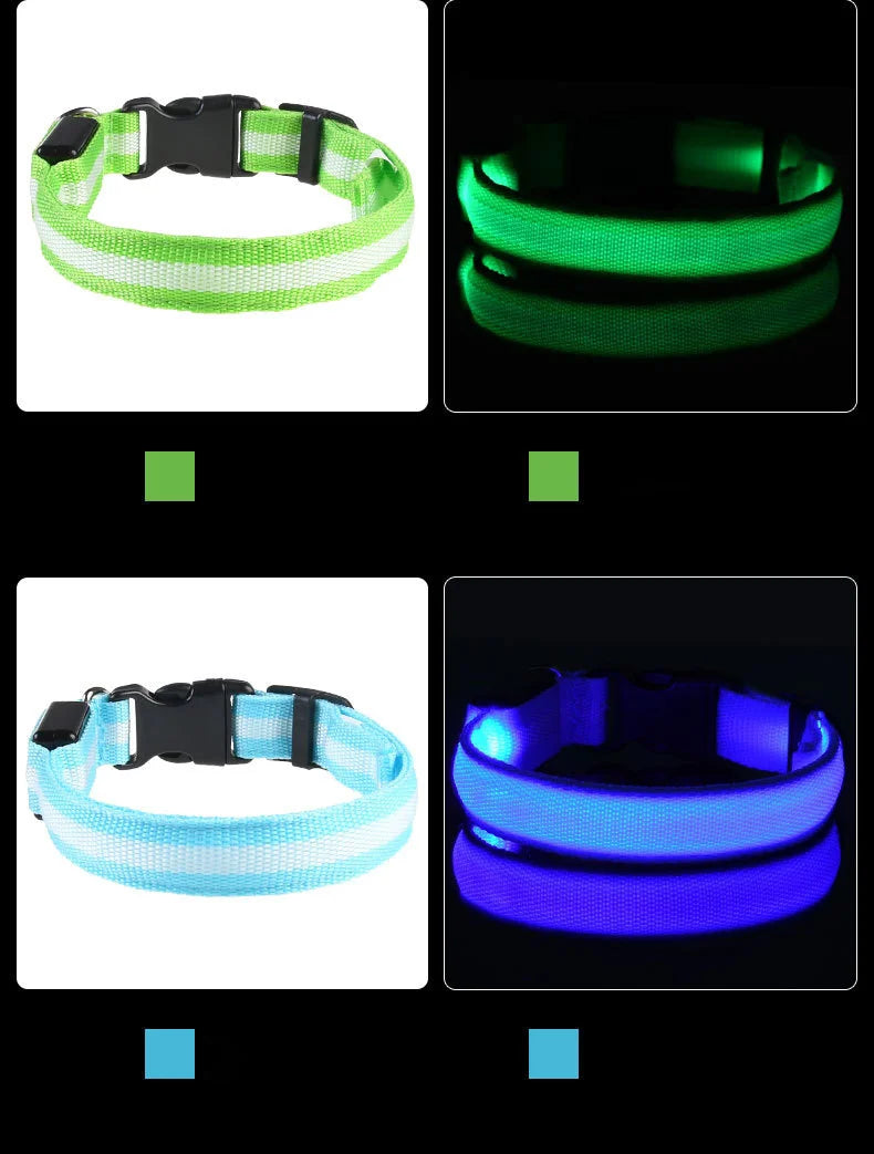 Nylon LED Night Safety Flashing Glow In The Dark Dog Leash Dogs Luminous Fluorescent Pet Dog Collar - ALPENZO