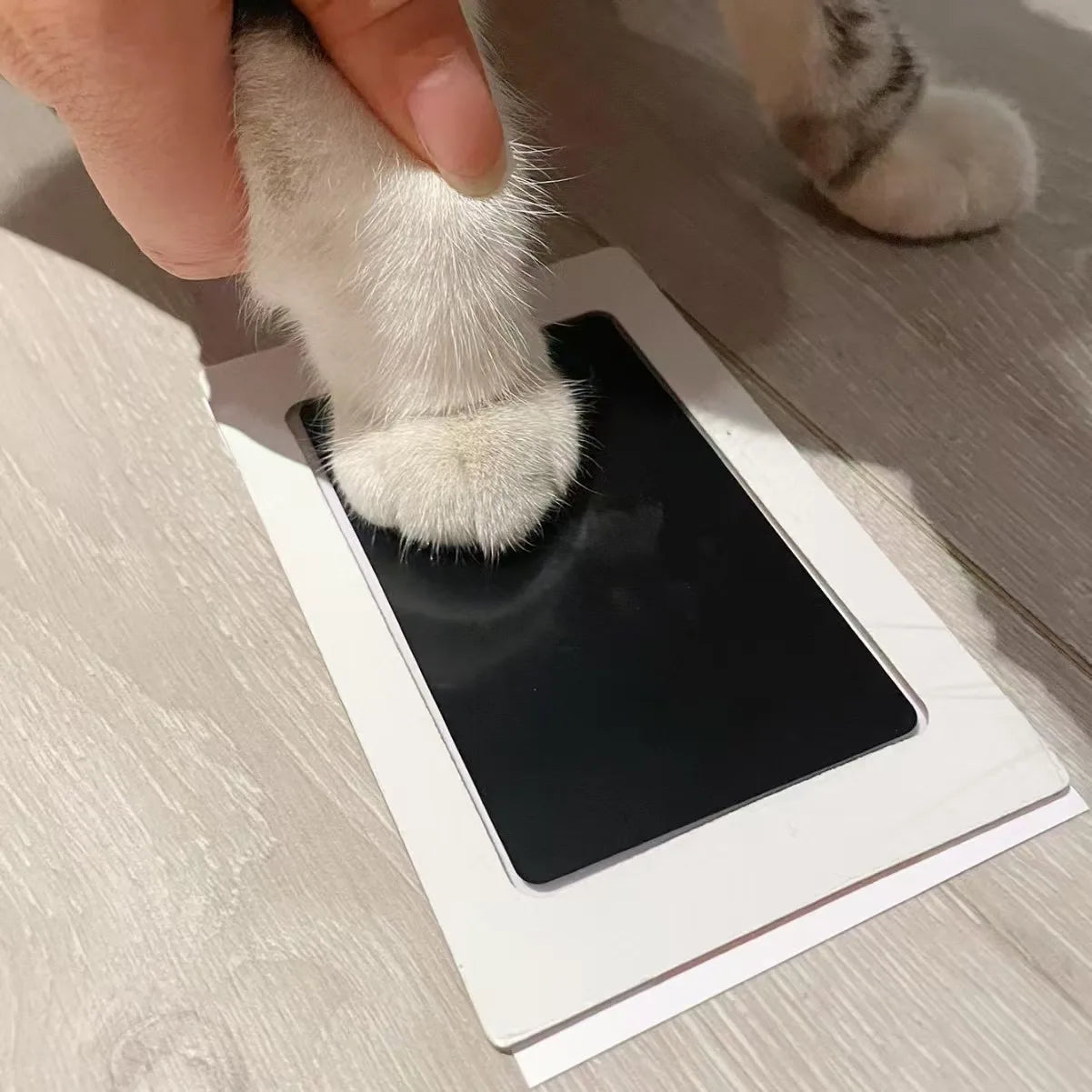 Paw Print Clean Touch Ink Pad, Dog Or Cat Pet Owner Keepsake, DIY Inkless Nose and Pawprint Impression Making Kit - ALPENZO