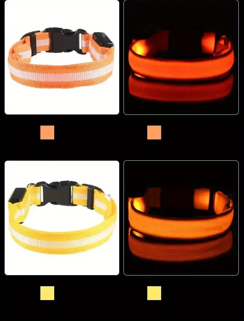 Nylon LED Night Safety Flashing Glow In The Dark Dog Leash Dogs Luminous Fluorescent Pet Dog Collar - ALPENZO