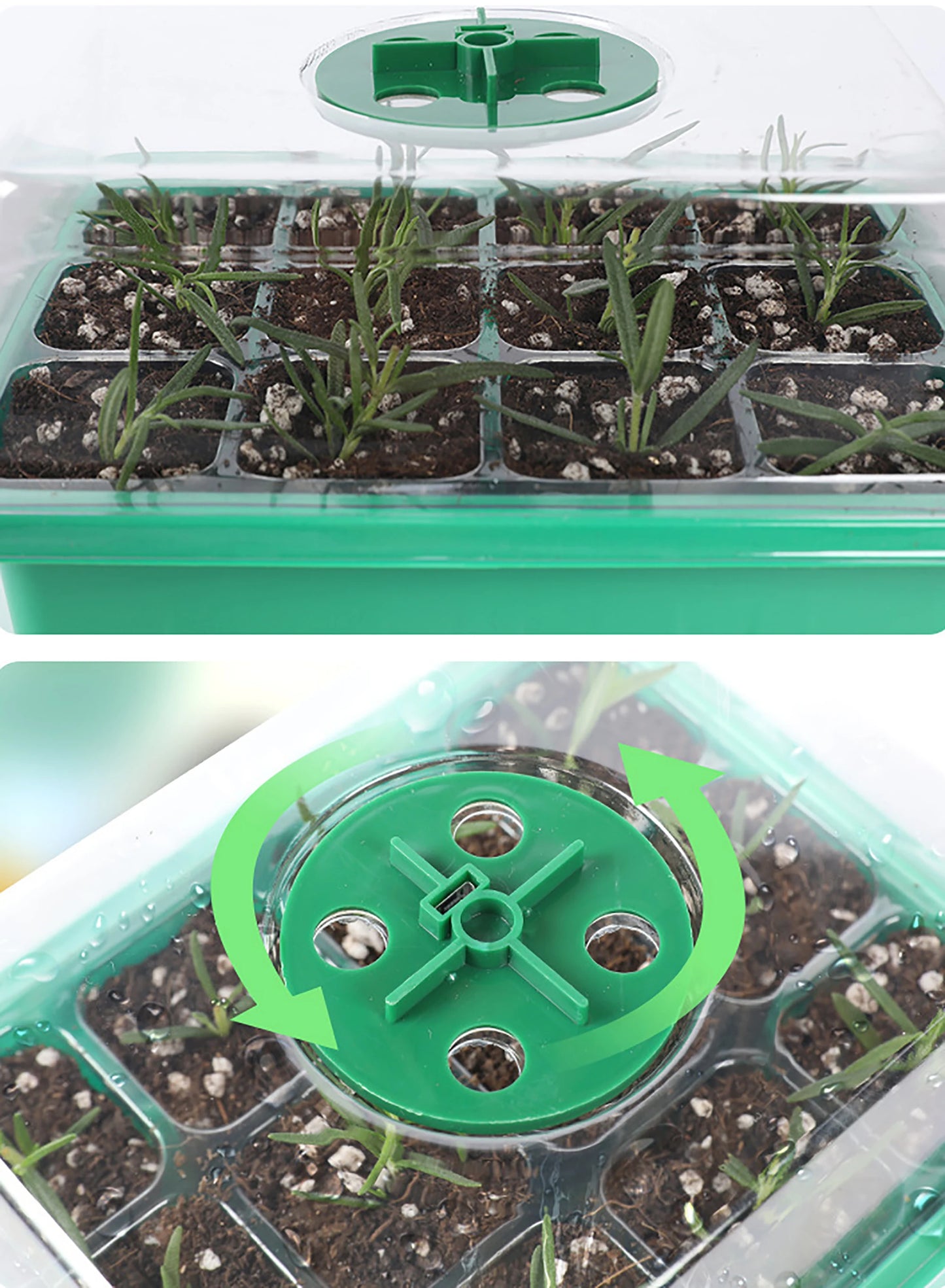 Seed Starter Tray Box With LED Grow Light Nursery Pot Seedling Germination Planter Adjustable Ventilation Humidity 6/12/13 Cell - ALPENZO