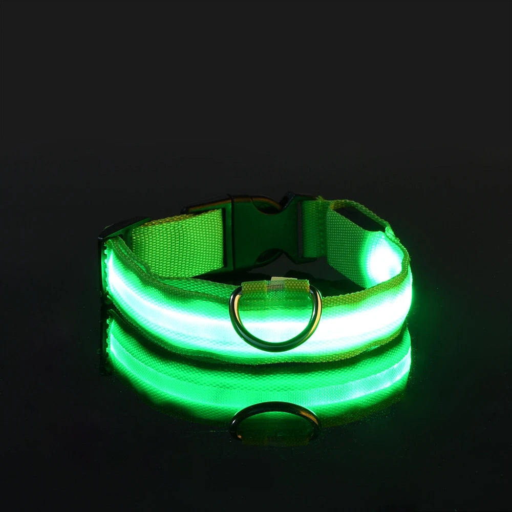 Nylon LED Night Safety Flashing Glow In The Dark Dog Leash Dogs Luminous Fluorescent Pet Dog Collar - ALPENZO
