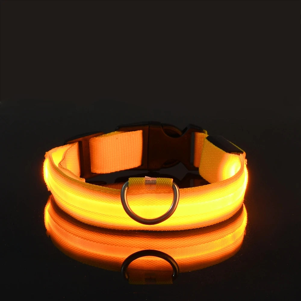 Nylon LED Night Safety Flashing Glow In The Dark Dog Leash Dogs Luminous Fluorescent Pet Dog Collar - ALPENZO
