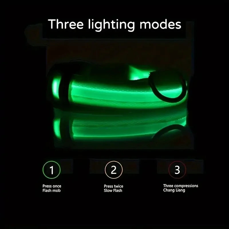 Nylon LED Night Safety Flashing Glow In The Dark Dog Leash Dogs Luminous Fluorescent Pet Dog Collar - ALPENZO