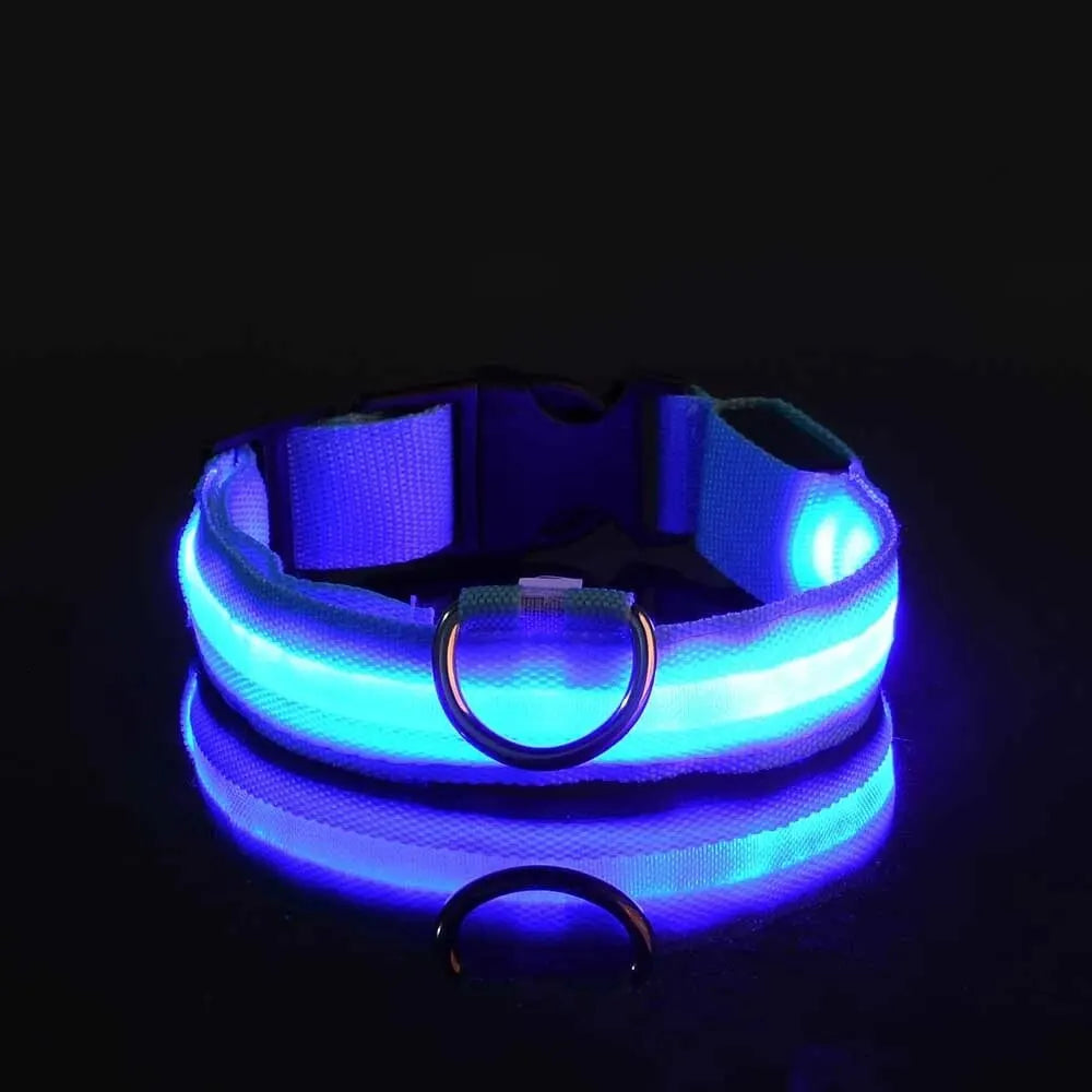 Nylon LED Night Safety Flashing Glow In The Dark Dog Leash Dogs Luminous Fluorescent Pet Dog Collar - ALPENZO