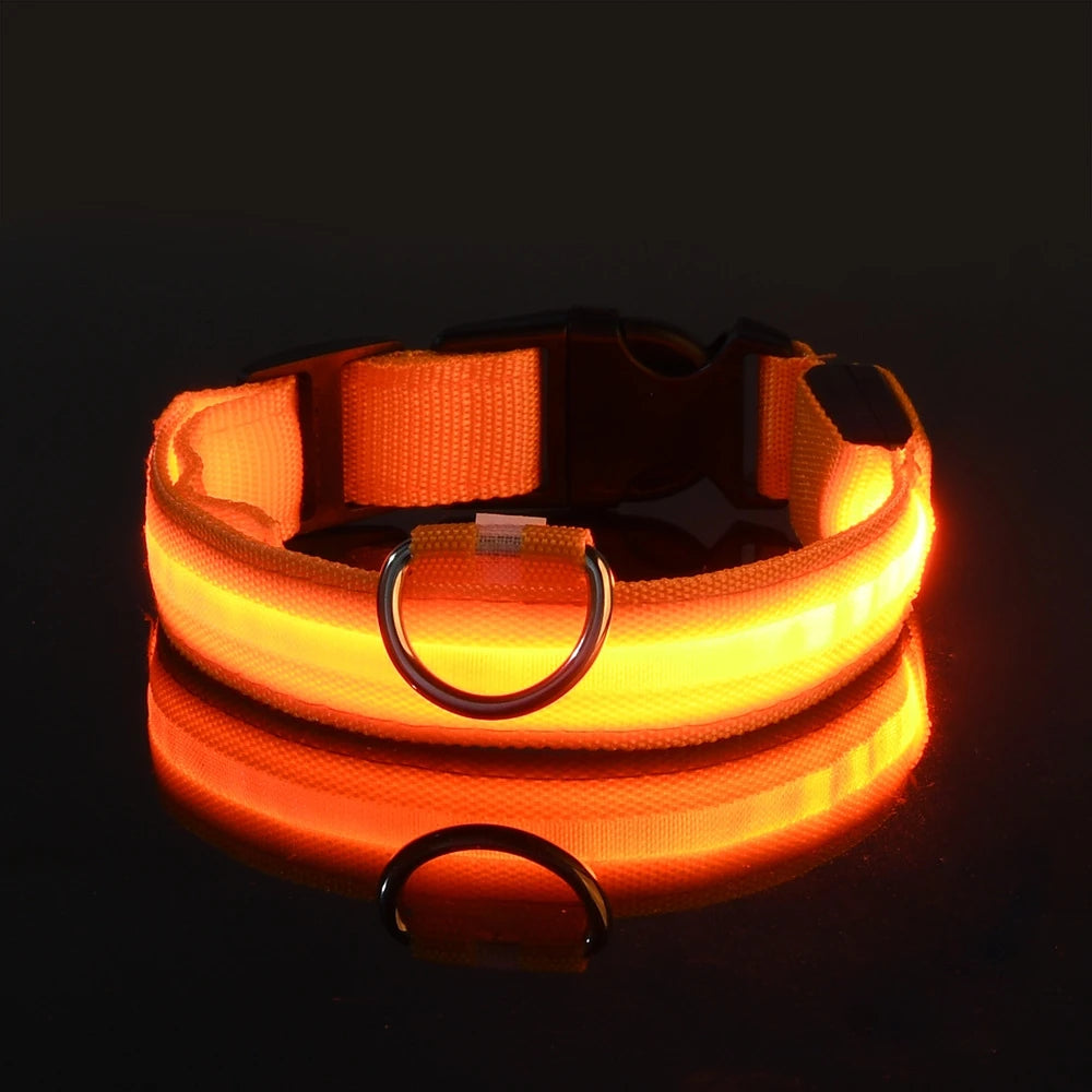 Nylon LED Night Safety Flashing Glow In The Dark Dog Leash Dogs Luminous Fluorescent Pet Dog Collar - ALPENZO