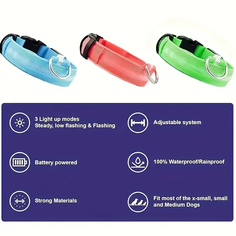 Nylon LED Night Safety Flashing Glow In The Dark Dog Leash Dogs Luminous Fluorescent Pet Dog Collar - ALPENZO