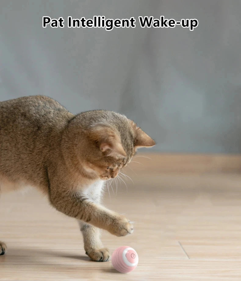 Power Ball Cat Toy, Interactive Cat Smart Ball Toy, Automatic Power Rolling Ball, Indoor Smart Pet Toy Ball with USB Charging - ALPENZO