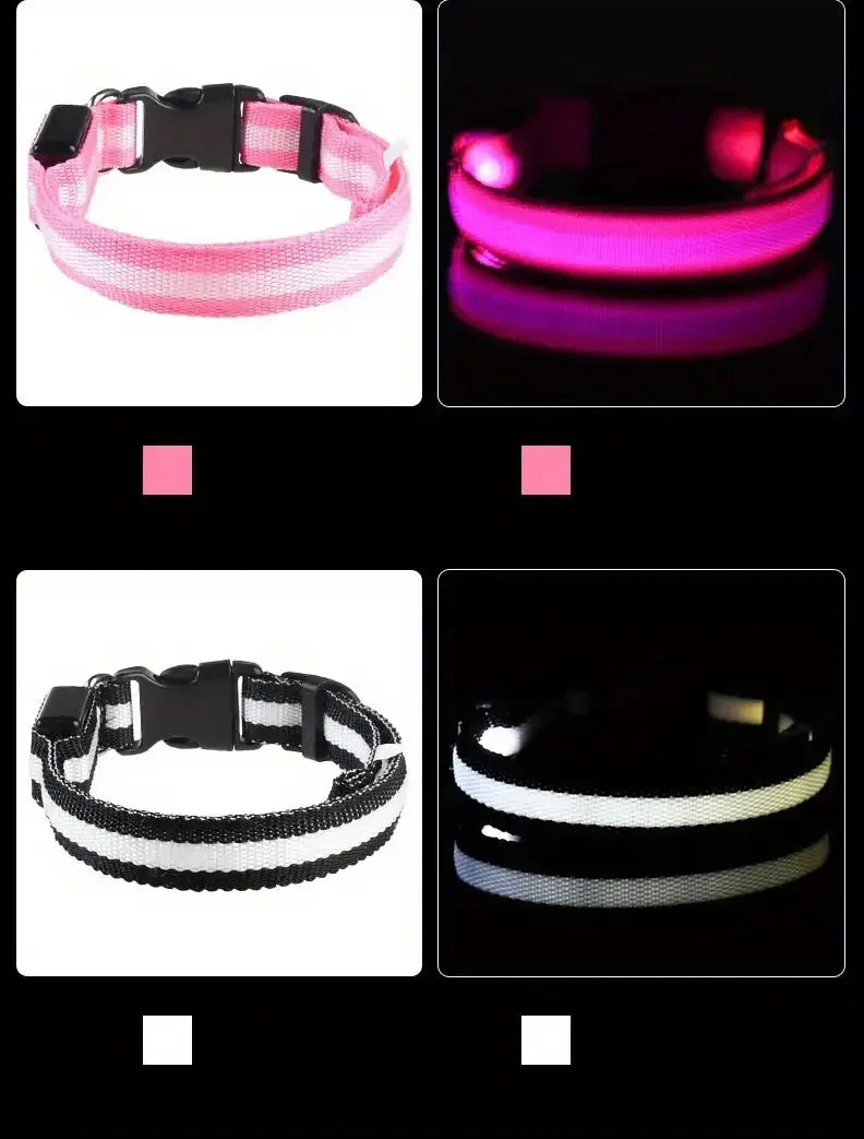 Nylon LED Night Safety Flashing Glow In The Dark Dog Leash Dogs Luminous Fluorescent Pet Dog Collar - ALPENZO