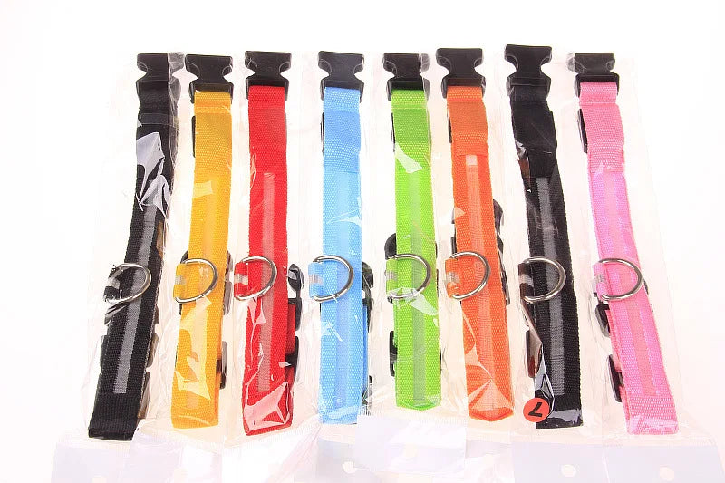 Nylon LED Night Safety Flashing Glow In The Dark Dog Leash Dogs Luminous Fluorescent Pet Dog Collar - ALPENZO