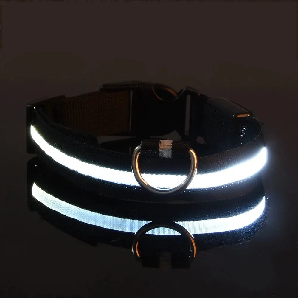 Nylon LED Night Safety Flashing Glow In The Dark Dog Leash Dogs Luminous Fluorescent Pet Dog Collar - ALPENZO