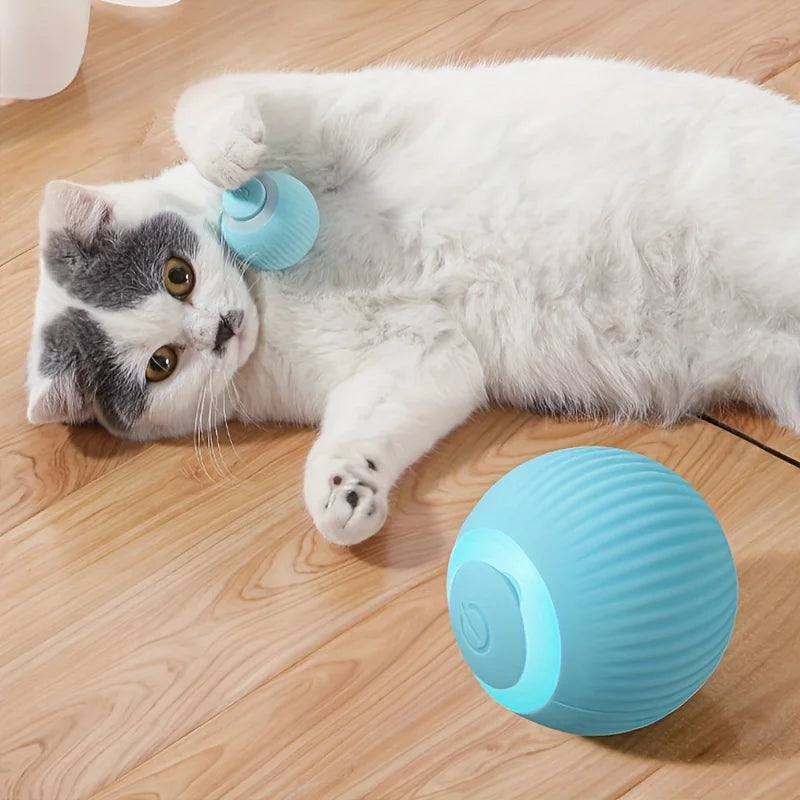 Power Ball Cat Toy, Interactive Cat Smart Ball Toy, Automatic Power Rolling Ball, Indoor Smart Pet Toy Ball with USB Charging - ALPENZO