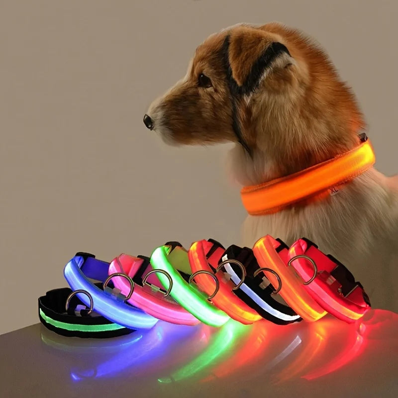 Nylon LED Night Safety Flashing Glow In The Dark Dog Leash Dogs Luminous Fluorescent Pet Dog Collar - ALPENZO