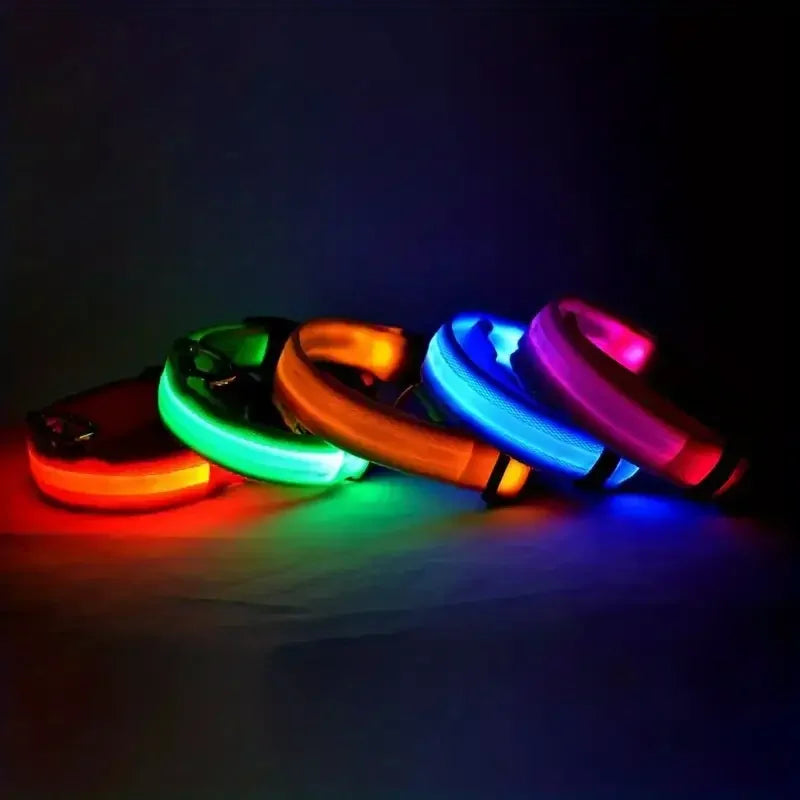 Nylon LED Night Safety Flashing Glow In The Dark Dog Leash Dogs Luminous Fluorescent Pet Dog Collar - ALPENZO