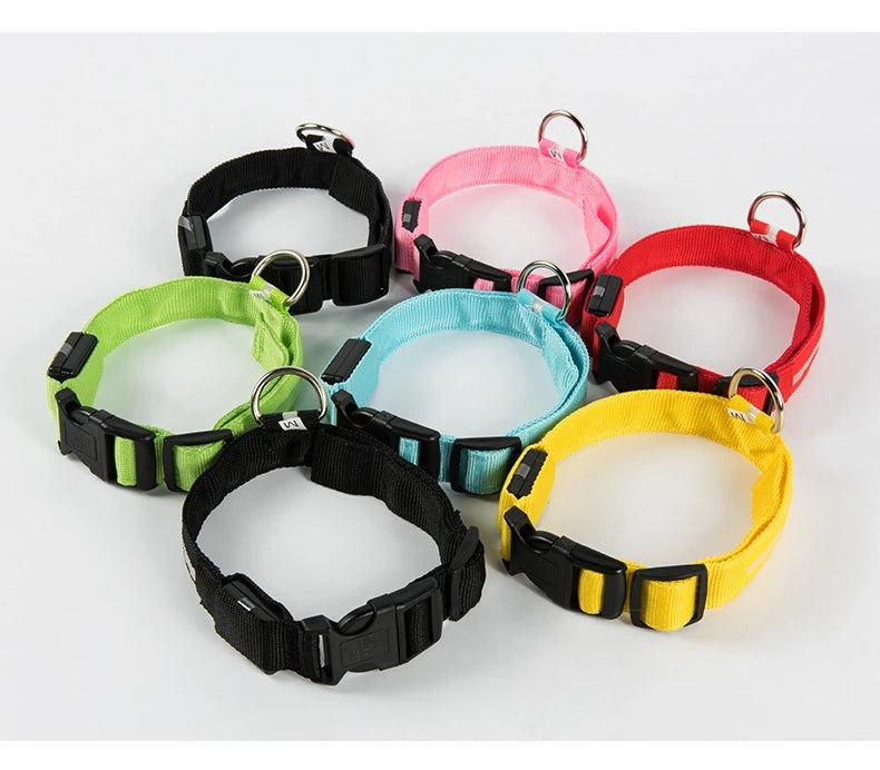 Nylon LED Night Safety Flashing Glow In The Dark Dog Leash Dogs Luminous Fluorescent Pet Dog Collar - ALPENZO