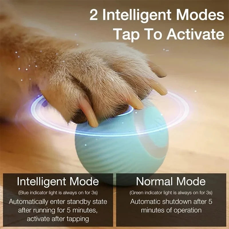 Power Ball Cat Toy, Interactive Cat Smart Ball Toy, Automatic Power Rolling Ball, Indoor Smart Pet Toy Ball with USB Charging - ALPENZO