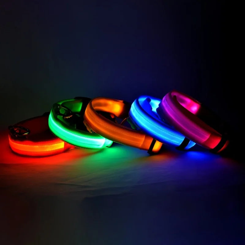 Nylon LED Night Safety Flashing Glow In The Dark Dog Leash Dogs Luminous Fluorescent Pet Dog Collar - ALPENZO