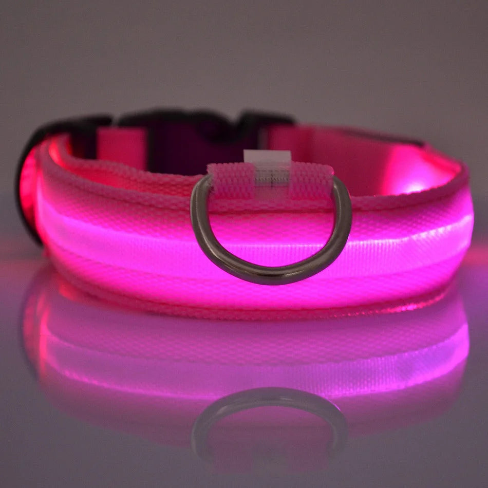 Nylon LED Night Safety Flashing Glow In The Dark Dog Leash Dogs Luminous Fluorescent Pet Dog Collar - ALPENZO