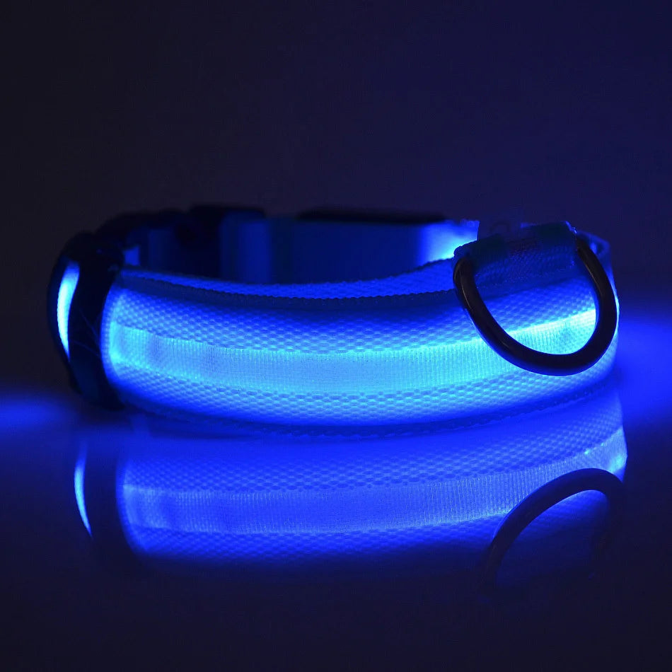 Nylon LED Night Safety Flashing Glow In The Dark Dog Leash Dogs Luminous Fluorescent Pet Dog Collar - ALPENZO
