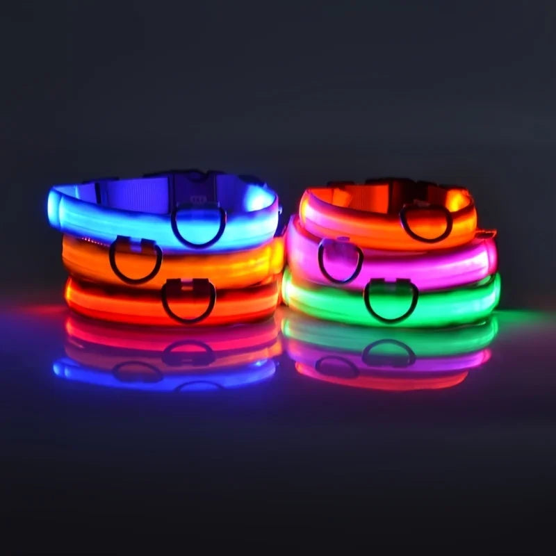 Nylon LED Night Safety Flashing Glow In The Dark Dog Leash Dogs Luminous Fluorescent Pet Dog Collar - ALPENZO