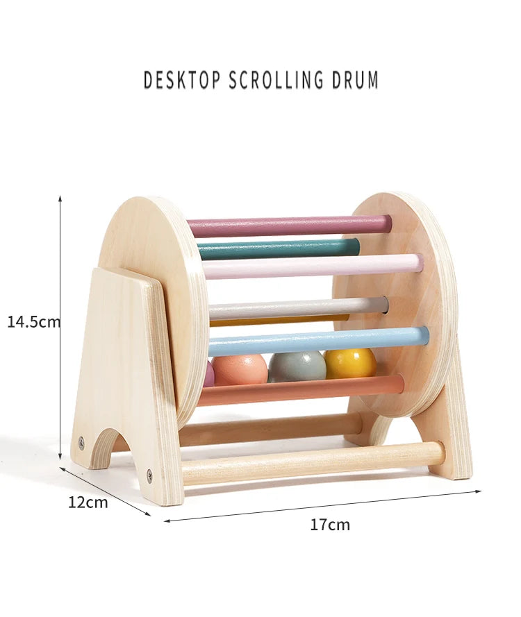 Montessori Infant Wooden Toys Coin Ball Busy Drum Baby Teaching Aid Gifts Color Shape Cognition Match Educational Sensory Toy ALPENZO