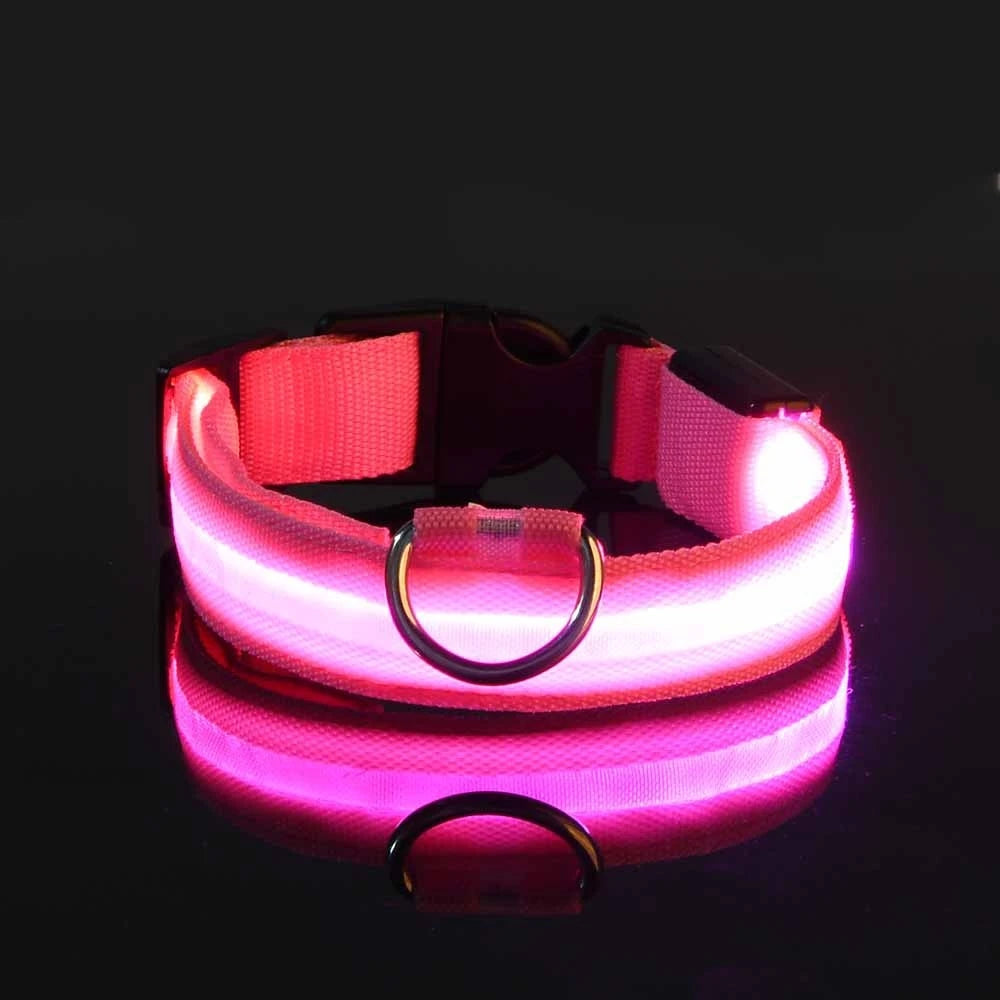 Nylon LED Night Safety Flashing Glow In The Dark Dog Leash Dogs Luminous Fluorescent Pet Dog Collar - ALPENZO