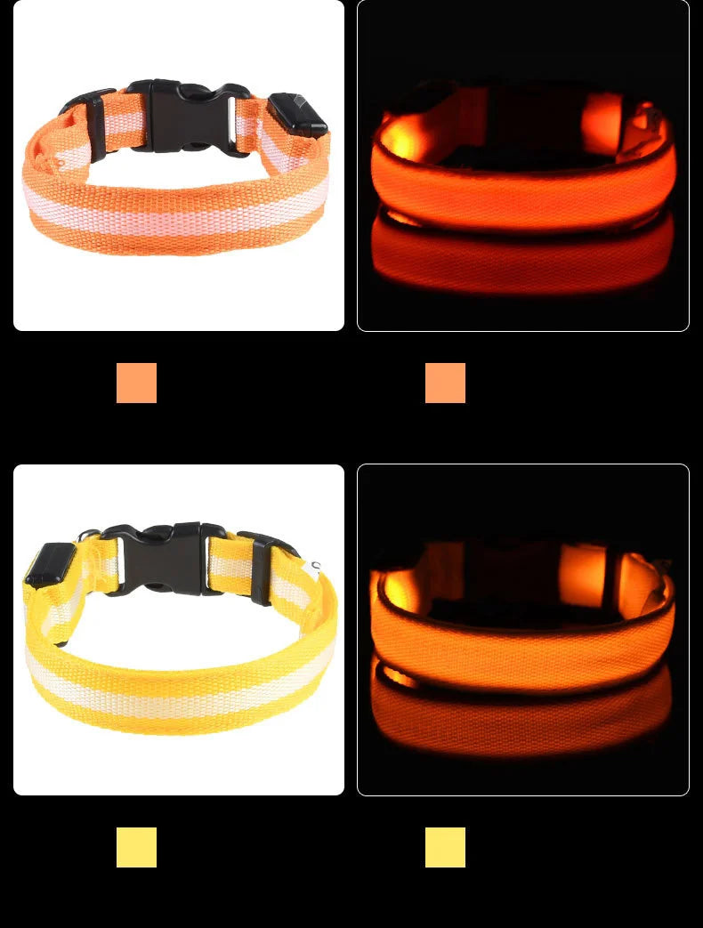 Nylon LED Night Safety Flashing Glow In The Dark Dog Leash Dogs Luminous Fluorescent Pet Dog Collar - ALPENZO
