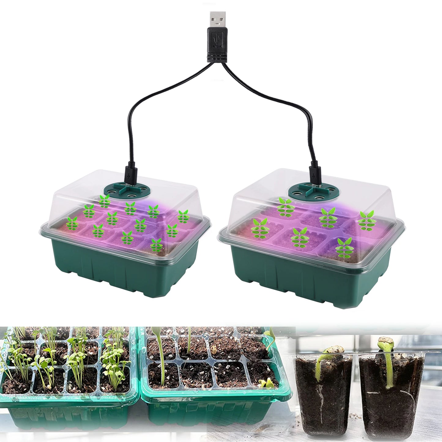 Seed Starter Tray Box With LED Grow Light Nursery Pot Seedling Germination Planter Adjustable Ventilation Humidity 6/12/13 Cell - ALPENZO