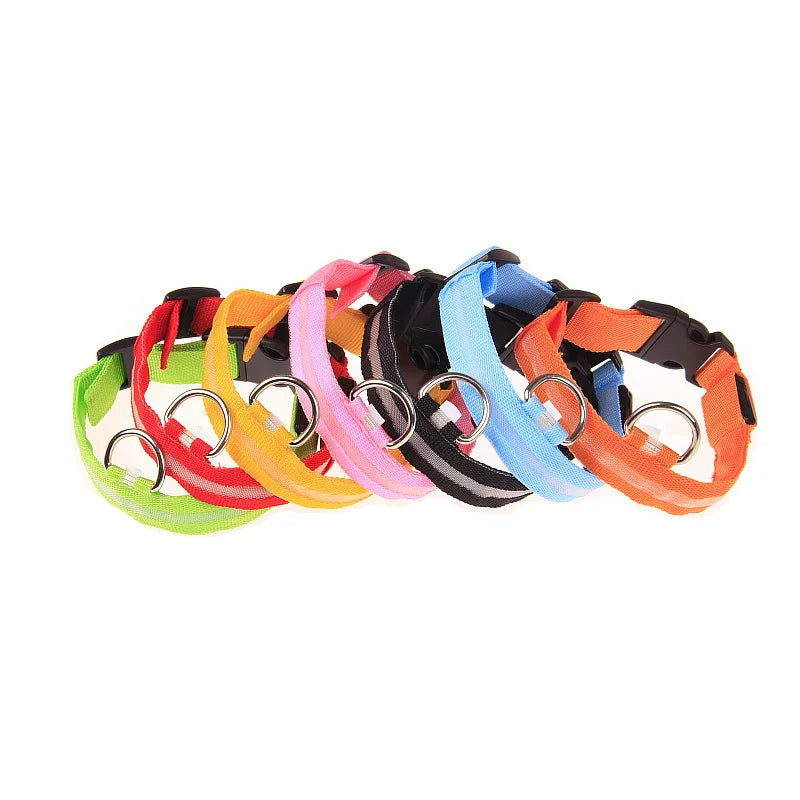 Nylon LED Night Safety Flashing Glow In The Dark Dog Leash Dogs Luminous Fluorescent Pet Dog Collar - ALPENZO