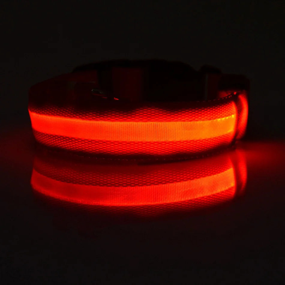 Nylon LED Night Safety Flashing Glow In The Dark Dog Leash Dogs Luminous Fluorescent Pet Dog Collar - ALPENZO