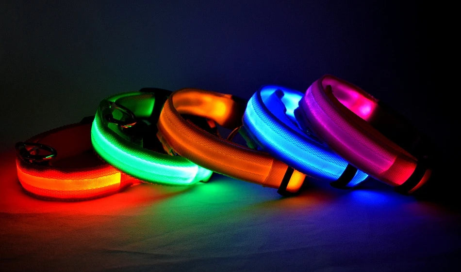 Nylon LED Night Safety Flashing Glow In The Dark Dog Leash Dogs Luminous Fluorescent Pet Dog Collar - ALPENZO
