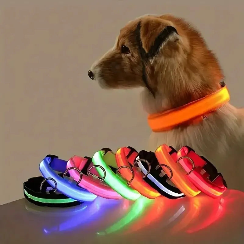 Nylon LED Night Safety Flashing Glow In The Dark Dog Leash Dogs Luminous Fluorescent Pet Dog Collar - ALPENZO