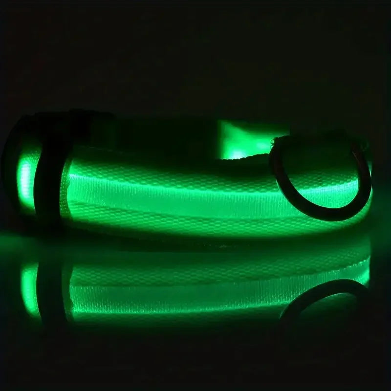 Nylon LED Night Safety Flashing Glow In The Dark Dog Leash Dogs Luminous Fluorescent Pet Dog Collar - ALPENZO