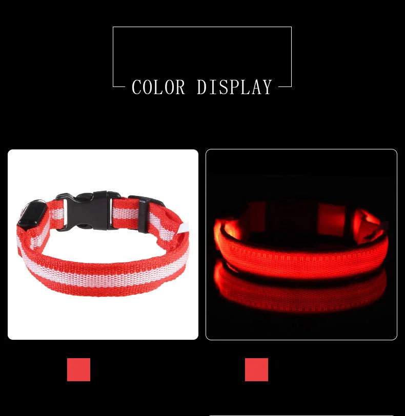 Nylon LED Night Safety Flashing Glow In The Dark Dog Leash Dogs Luminous Fluorescent Pet Dog Collar - ALPENZO