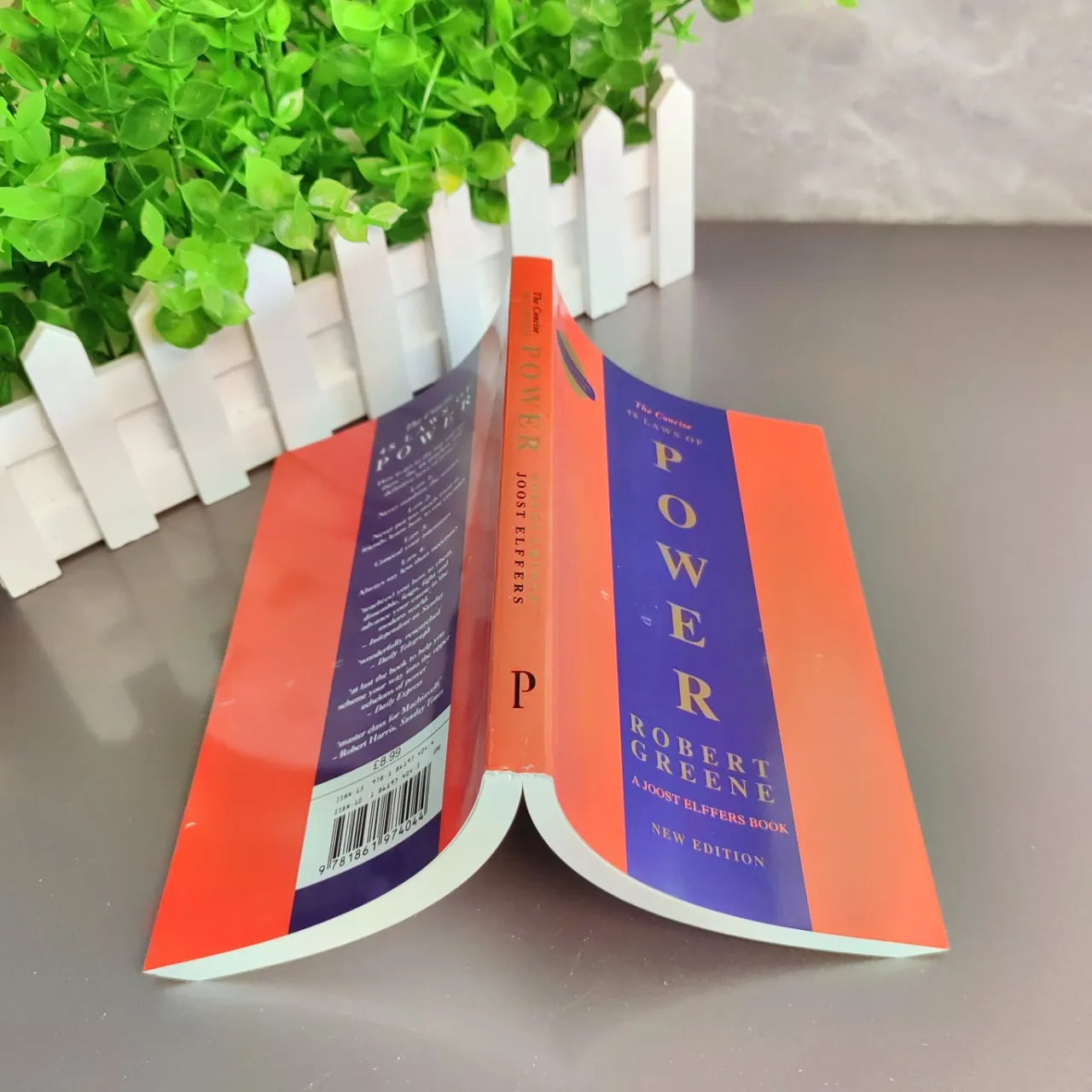 The Concise 48 Laws of Power English Book By Robert Greene Political Leadership Political Philosophy Motivation Books for Adult ALPENZO