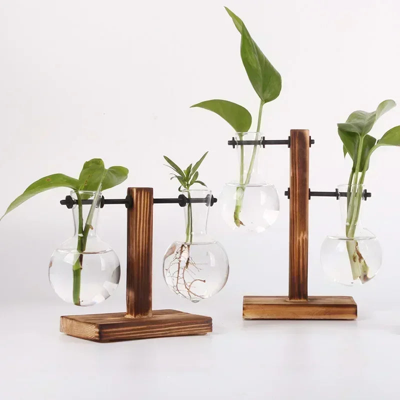 Transparent Bulb Vase with Wooden Stand Desktop Glass Planter for Hydroponics Plants Coffee Shop Room Decor - ALPENZO