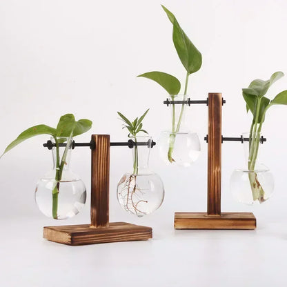 Transparent Bulb Vase with Wooden Stand Desktop Glass Planter for Hydroponics Plants Coffee Shop Room Decor - ALPENZO
