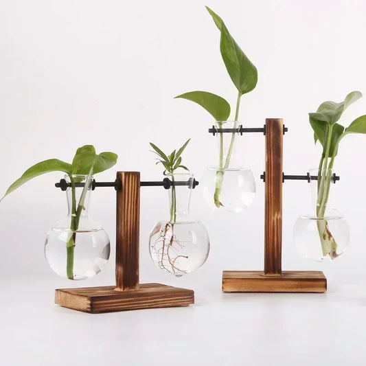 Transparent Bulb Vase with Wooden Stand Desktop Glass Planter for Hydroponics Plants Coffee Shop Room Decor - ALPENZO