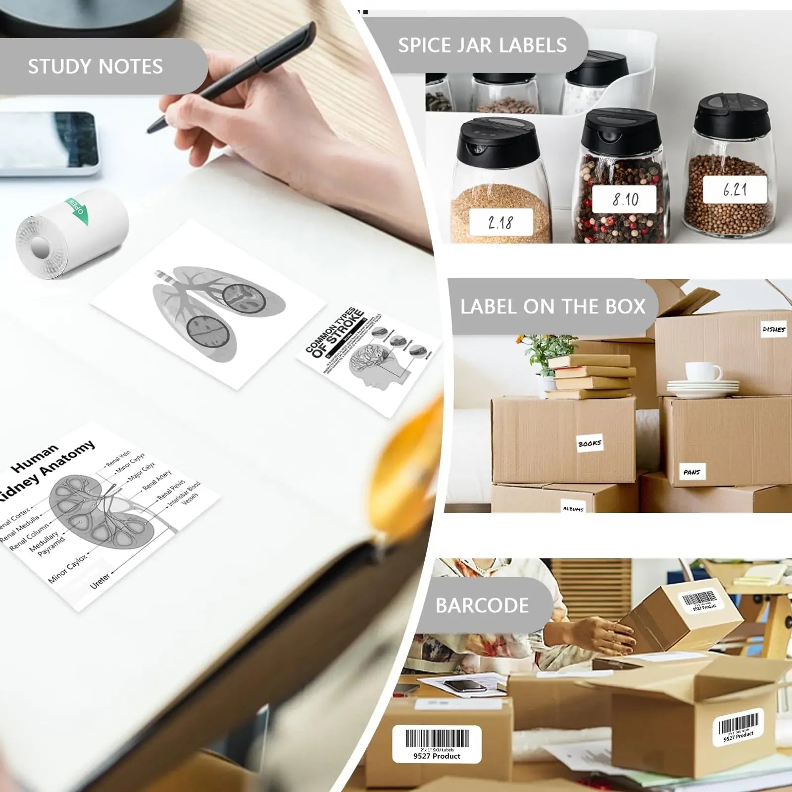 Thermal Printer Paper Rolls for Mini 10 Rolls 2.2in x 19ft  Pocket Printer White Colors Sticky Receipt Paper Rolls POS Papers ALPENZO