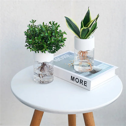 Mini Hydroponic Flower Pot Home Vase Decor Transparent Imitation Glass Soilless Plant Pots Green Plants Pot For Home Decoration - ALPENZO