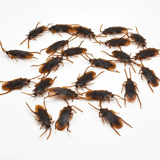 Special Lifelike Model Simulation Fake Rubber Cock Cockroach Roach Bug Roaches Toy Prank Funny Trick Joke Toys April Fools Prank ALPENZO