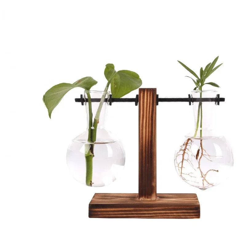 Transparent Bulb Vase with Wooden Stand Desktop Glass Planter for Hydroponics Plants Coffee Shop Room Decor - ALPENZO