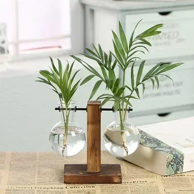 Transparent Bulb Vase with Wooden Stand Desktop Glass Planter for Hydroponics Plants Coffee Shop Room Decor - ALPENZO