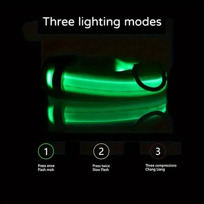 Nylon LED Night Safety Flashing Glow In The Dark Dog Leash Dogs Luminous Fluorescent Pet Dog Collar - ALPENZO