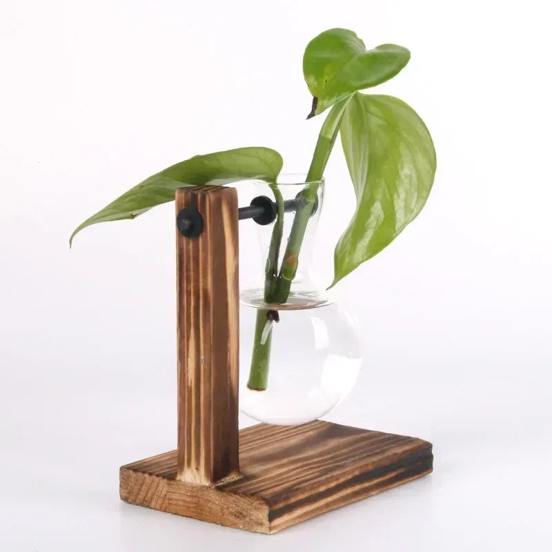 Transparent Bulb Vase with Wooden Stand Desktop Glass Planter for Hydroponics Plants Coffee Shop Room Decor - ALPENZO