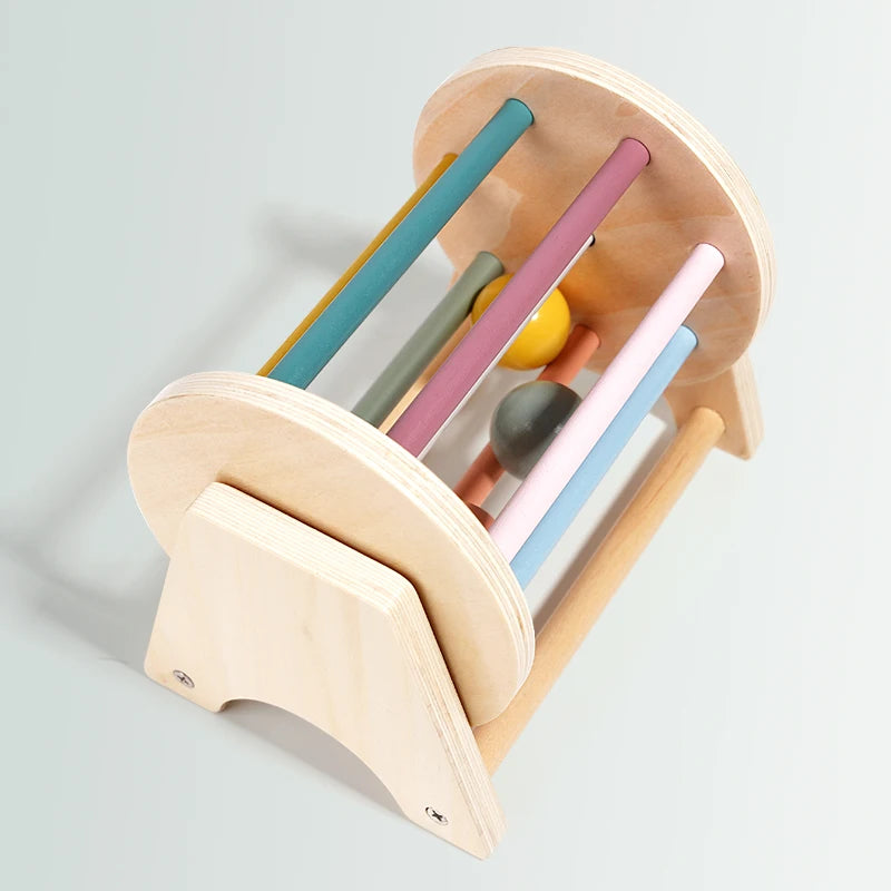 Montessori Infant Wooden Toys Coin Ball Busy Drum Baby Teaching Aid Gifts Color Shape Cognition Match Educational Sensory Toy ALPENZO